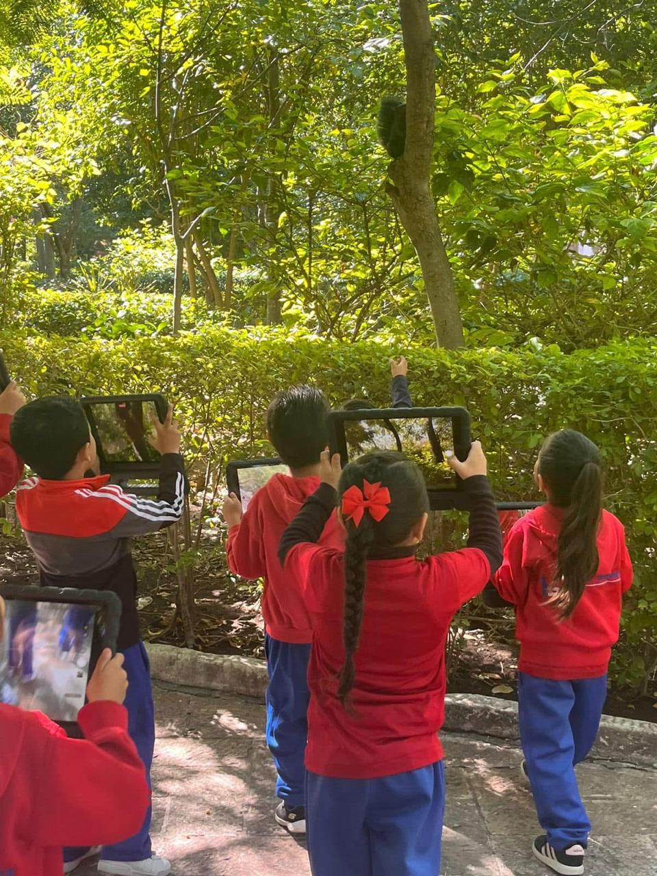 Felices evolucionando la educación